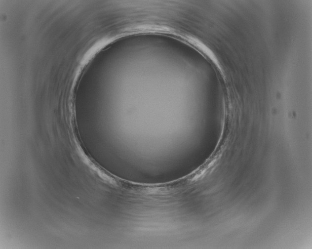 X0000075861381200610151624