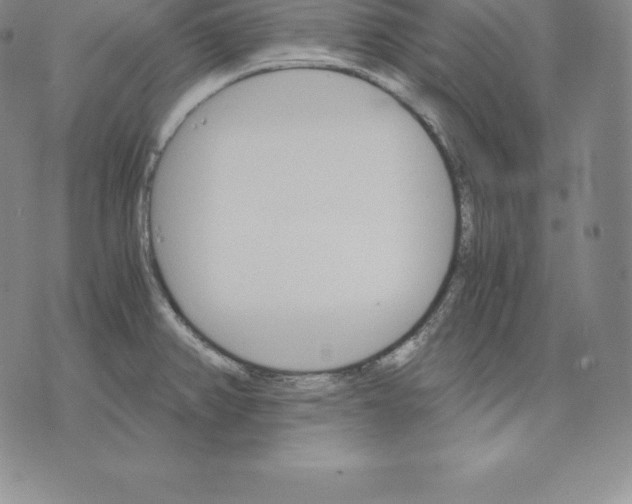 X0000075861382200610151624