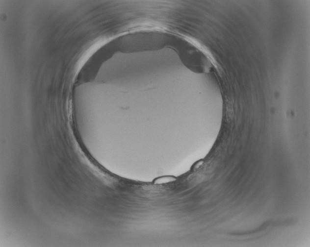 X0000075861383200610151624