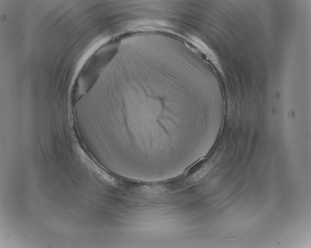 X0000075861384200610151624