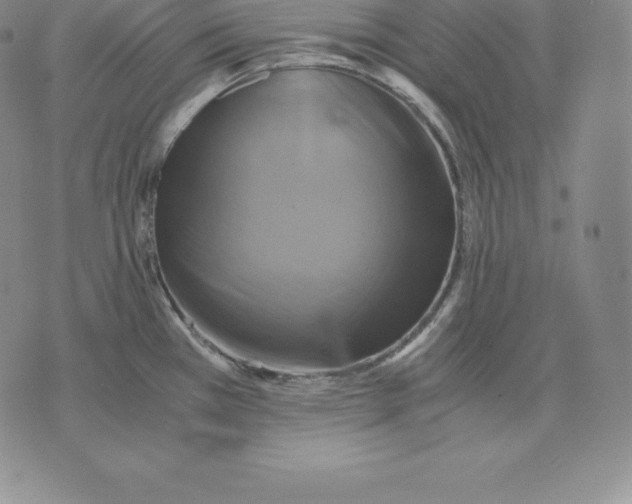 X0000075861385200610151624