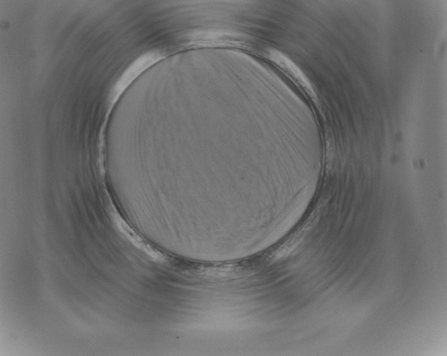 X0000075861386200610151624