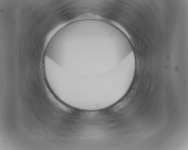 X0000075861387200610151624