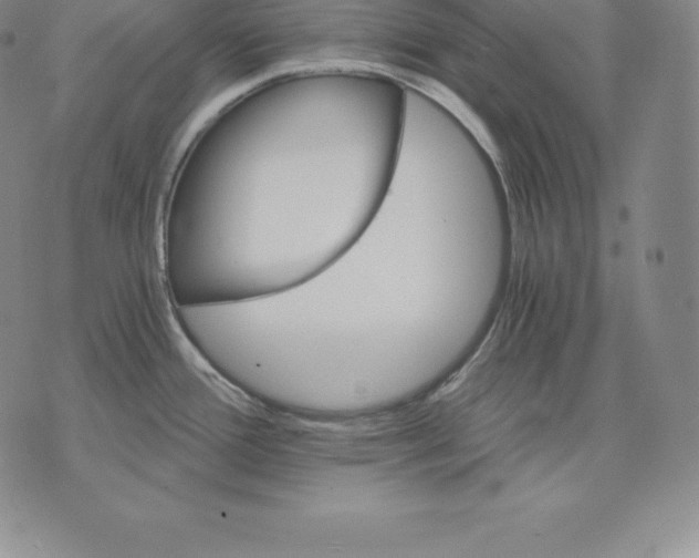 X0000075861388200610151624