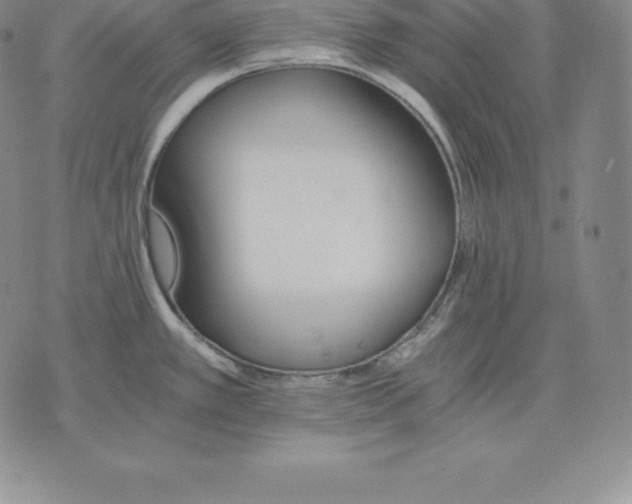 X0000075861389200610151624