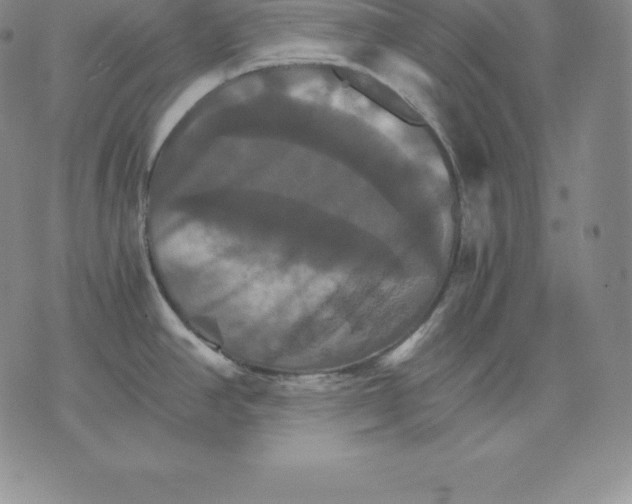 X0000075861390200610151624