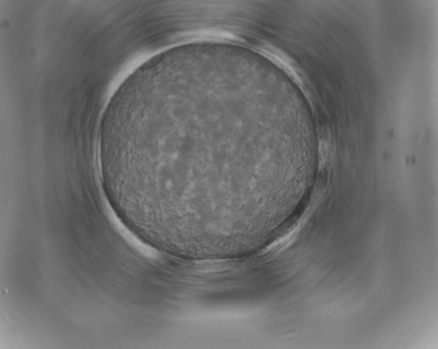 X0000075861391200610151624