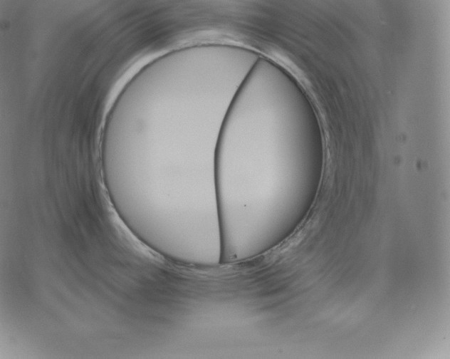 X0000075861392200610151624