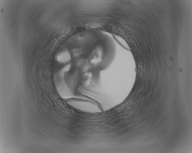 X0000075861393200610151623