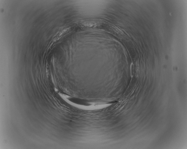 X0000075861394200610151623