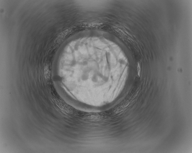 X0000075861395200610151623