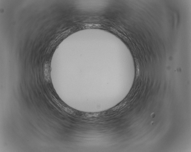 X0000075861396200610151623