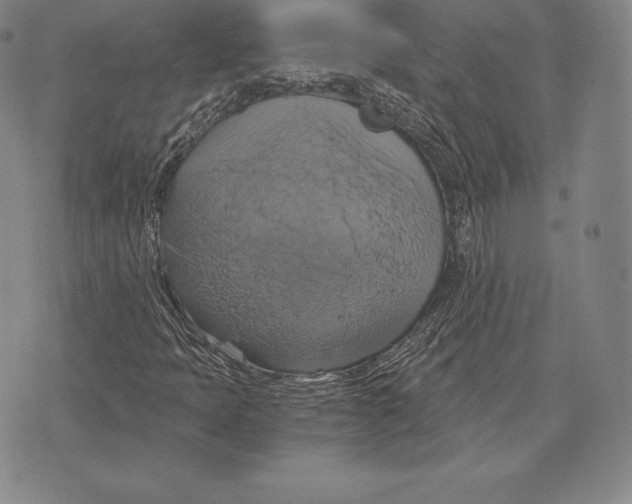 X0000075861397200610151623