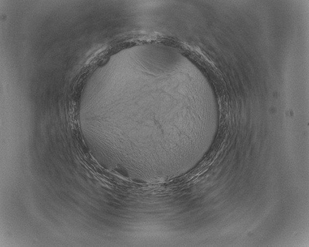 X0000075861399200610151623