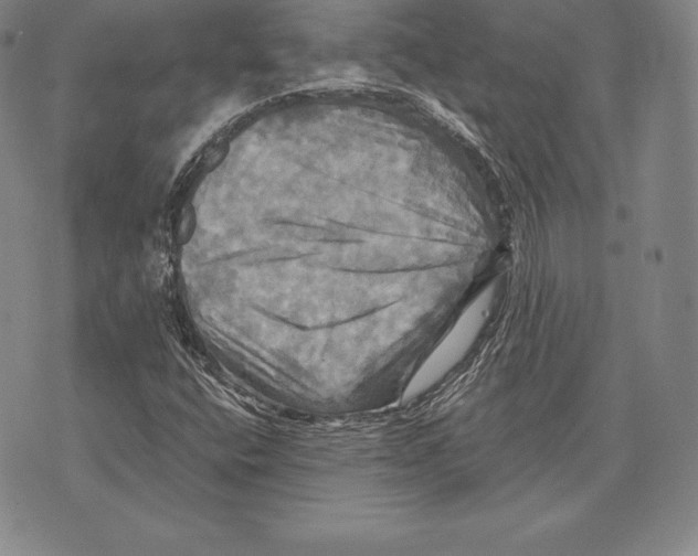 X0000075861400200610151623