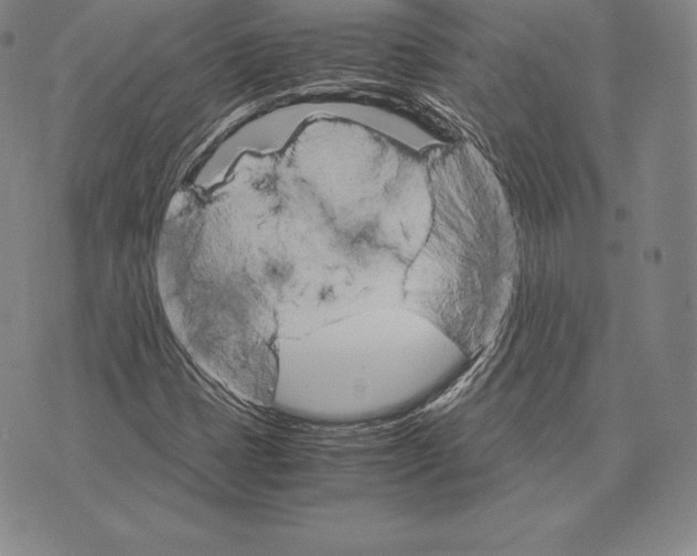 X0000075861401200610151623