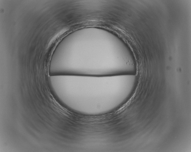 X0000075861402200610151623