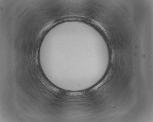 X0000075861403200610151623