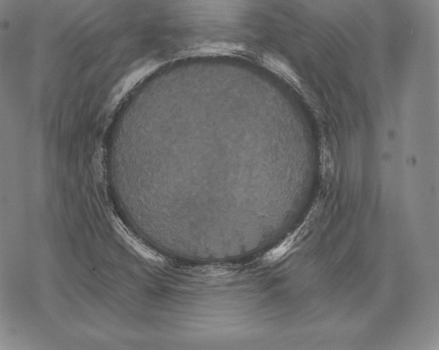 X0000075861404200610151623