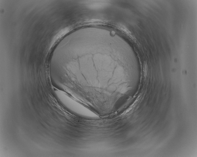 X0000075861405200610151623