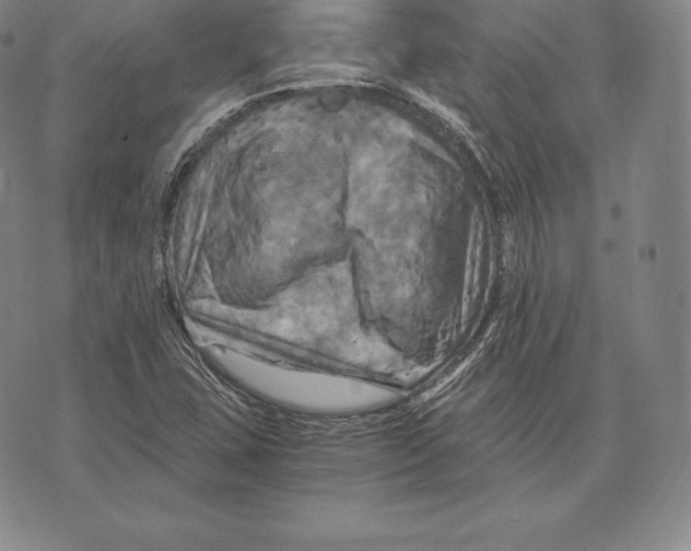 X0000075861407200610151623