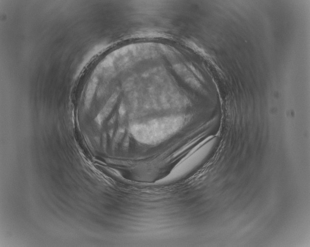 X0000075861408200610151623