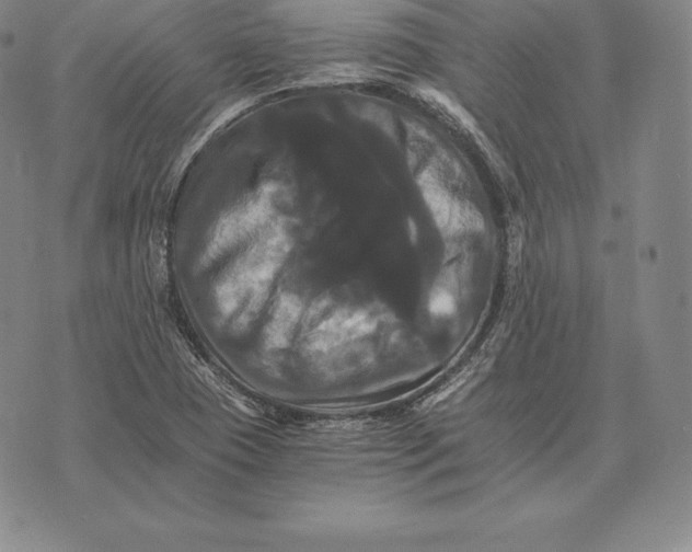 X0000075861409200610151624