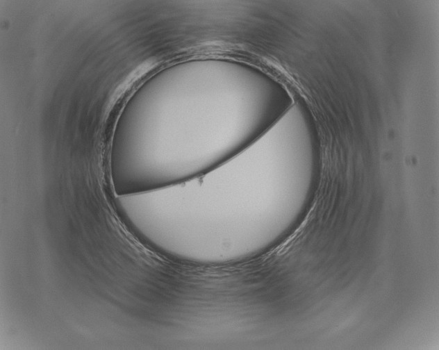 X0000075861410200610151624