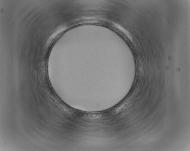 X0000075861411200610151624