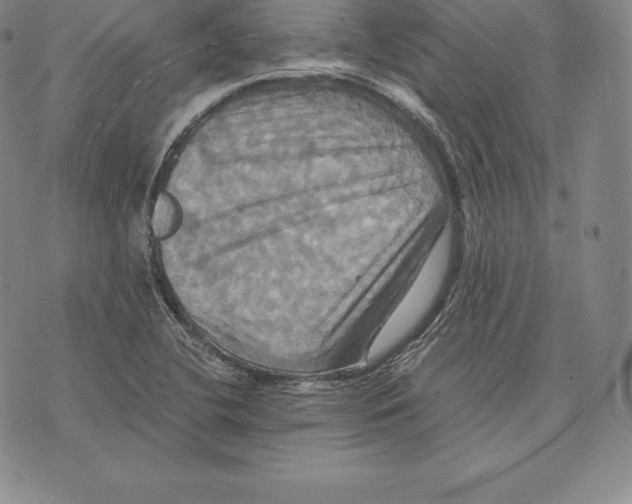 X0000075861412200610151624