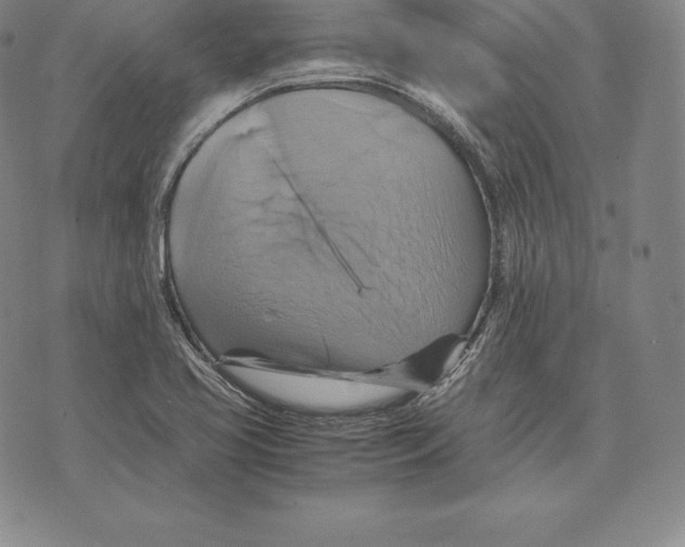 X0000075861413200610151624