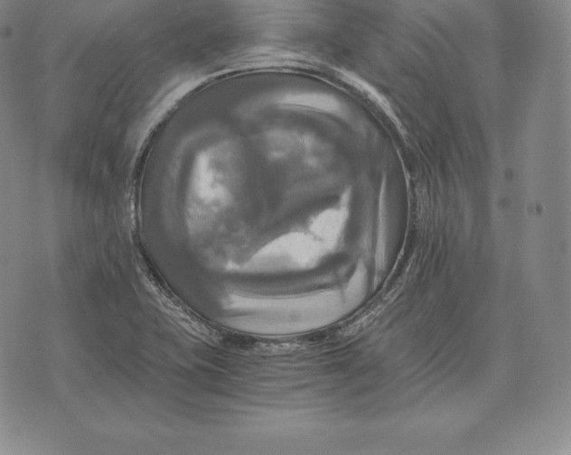 X0000075861415200610151624