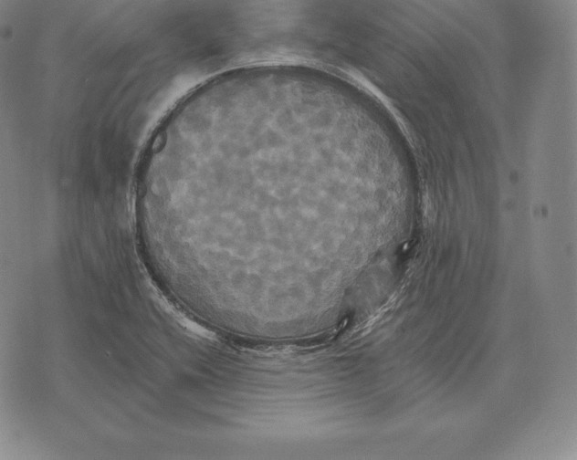 X0000075861416200610151624