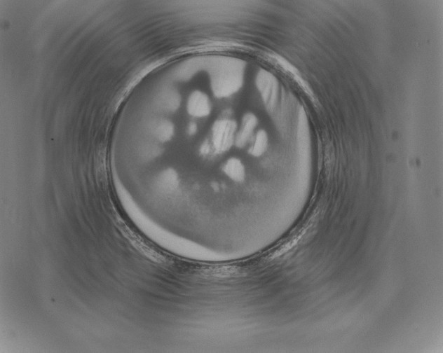 X0000075861417200610151624