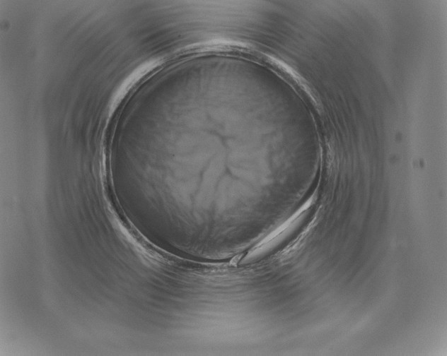 X0000075861418200610151624