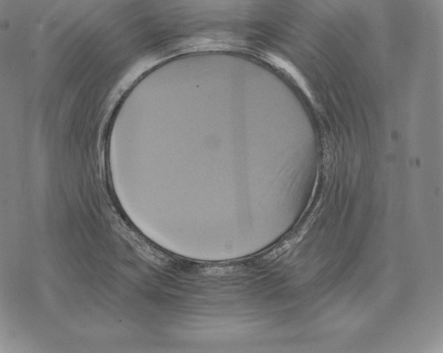 X0000075861419200610151624