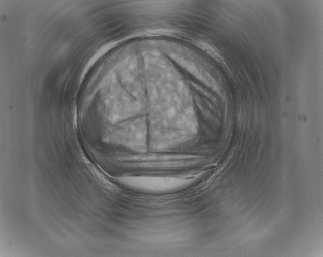 X0000075861420200610151624