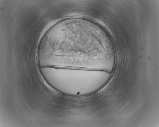 X0000075861421200610151624