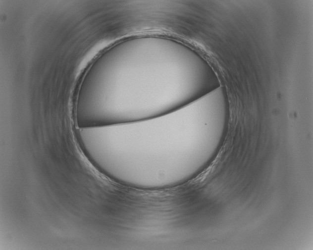 X0000075861422200610151624