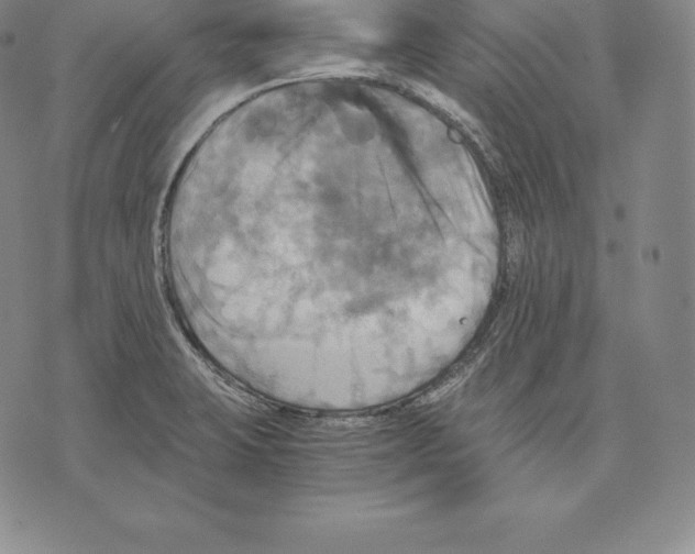 X0000075861423200610151624