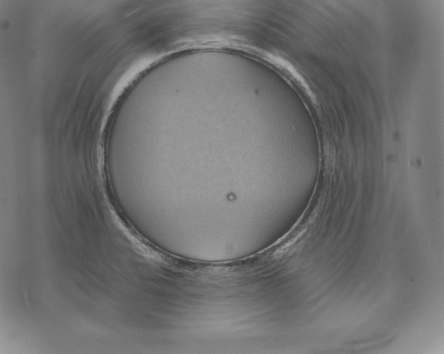 X0000075861424200610151624