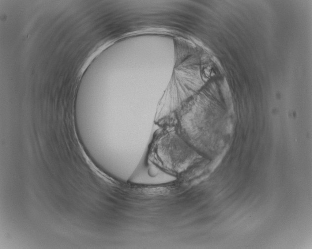 X0000075861425200610151624