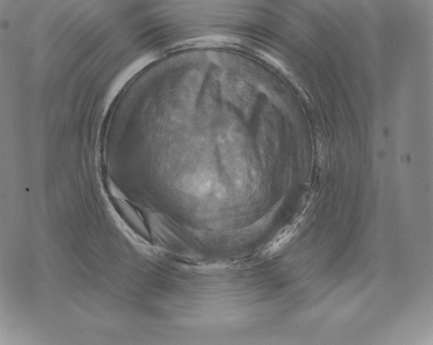 X0000075861426200610151624