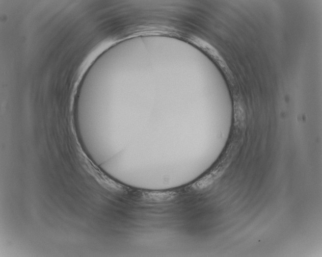 X0000075861427200610151624