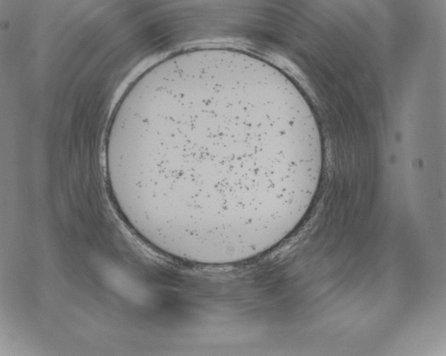 X0000075861428200610151624