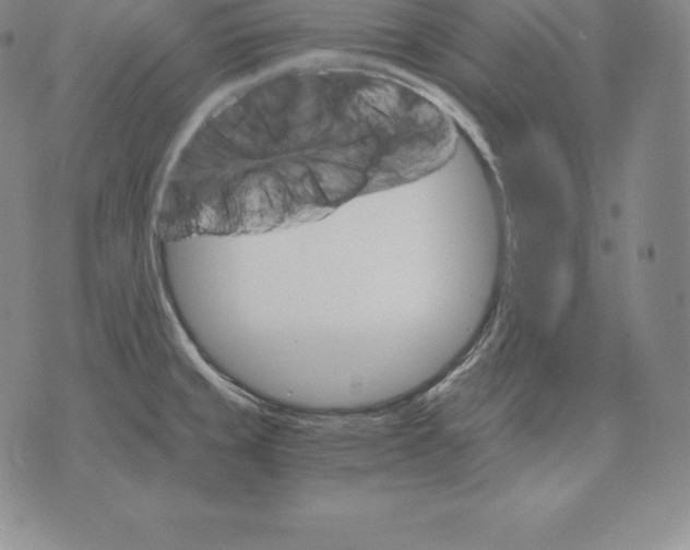 X0000075861429200610151624