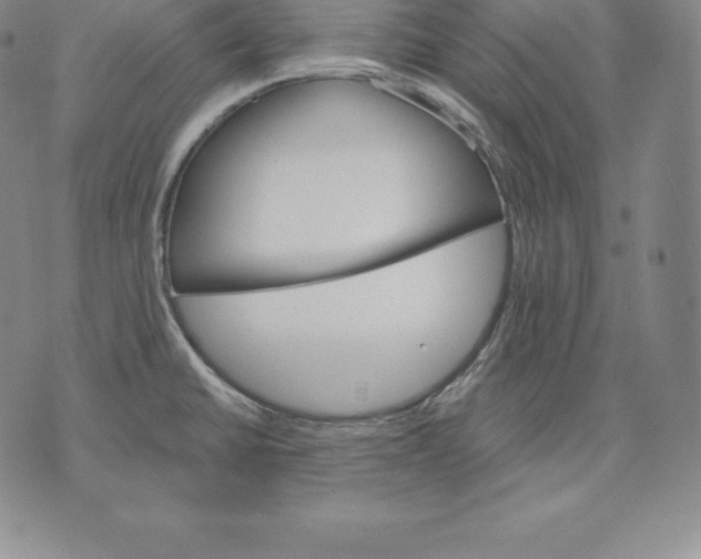 X0000075861430200610151624