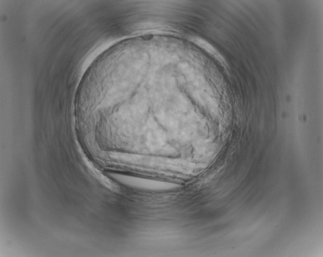 X0000075861431200610151624