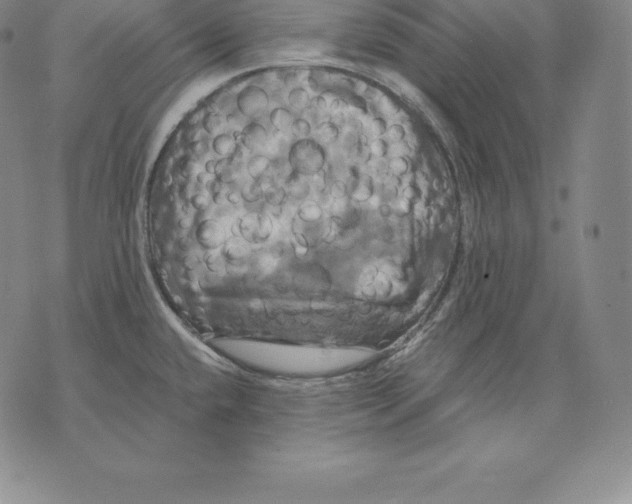 X0000075861432200610151624