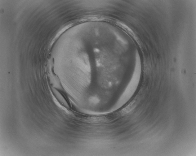 X0000075861433200610151624